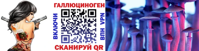 omg сайт  Ельня  Псилоцибиновые грибы MAGIC MUSHROOMS 